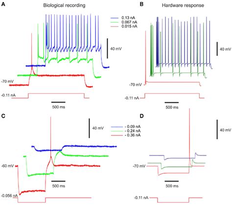 Frontiers Tunable Neuromimetic Integrated System For Emulating