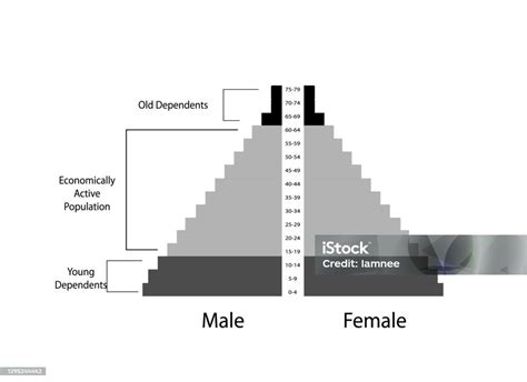 Detail Of Population Pyramids Graphs Depend On Age Stock Illustration Download Image Now