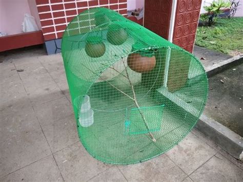 Green Wire Mesh Bird Cage at Best Price in Thiruvalla | Life Enterprises