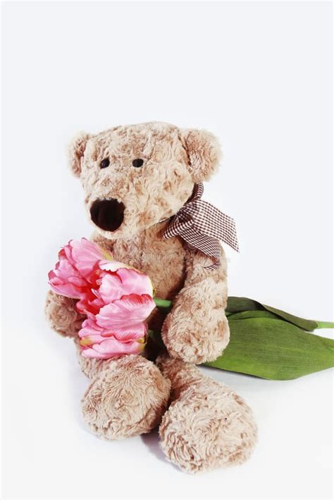 Stuffed Toy Teddy Bear With Pink Flowers Tulip For Valentine`s Day And