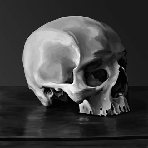 Pin By Derald Hallem On Skull Art Still Life Photography Black And