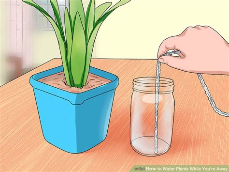 5 Ways To Water Plants While Youre Away Wikihow