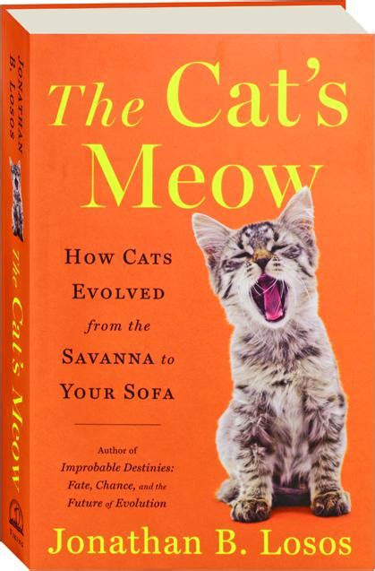 THE CAT S MEOW How Cats Evolved From The Savanna To Your Sofa