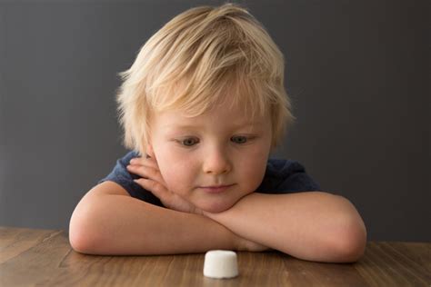 Le Test Du Marshmallow Un Test Pour Les Enfants Psychologue Net