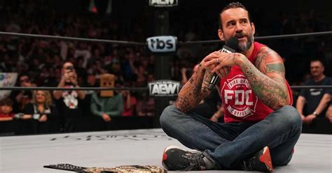 Unreleased Payouts Reveal Cm Punk Made For His Loss Against