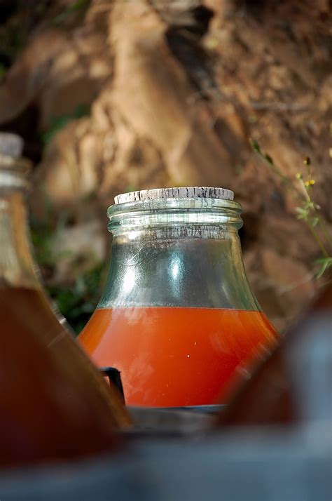 photos de la Guinelle Vinaigrerie Artisanale à Port Vendres