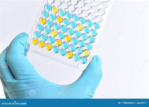 Enzyme Linked Immunosorbent Assay Or Elisa Plate Stock Photo Image Of