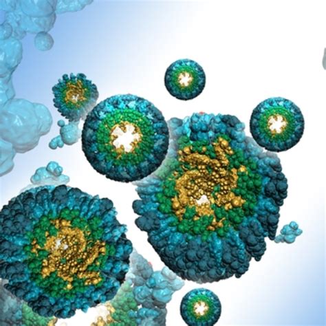 Alpha-fetoprotein (AFP) MAb BE 1117