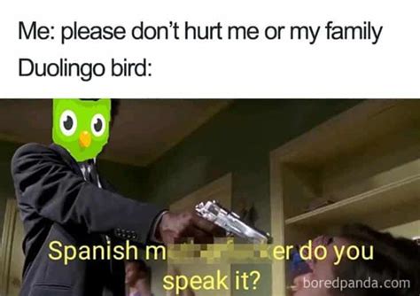 Duolingo Memes Make You Think Twice About Missing Your Spanish Test