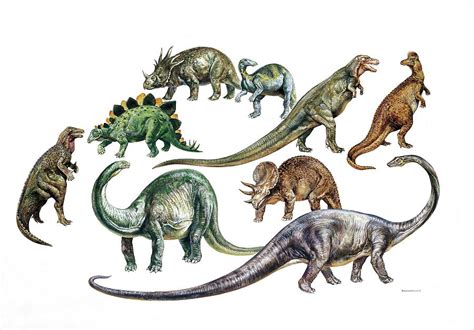 Dinosaurs: The Comprehensive Encyclopedia of Prehistoric Life 19