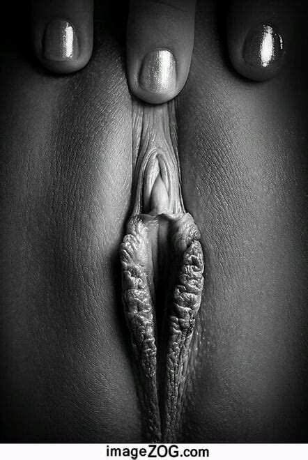 My Hot Girls Collection HPSO Porn Pic