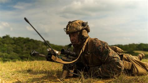 DVIDS Images Stand In Force Exercise 1st Battalion 2nd Marines