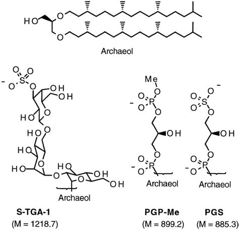 Glycolipid Structure