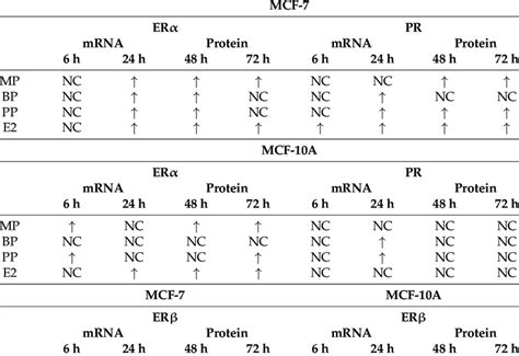 Effect of 17β estradiol E2 and Parabens on Estrogen and Progesterone