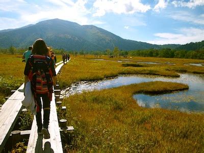 Oze National Park Autumn Trekking Trip - Tokyo Gaijins