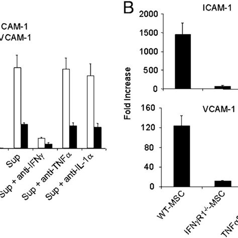 ICAM 1 And VCAM 1 Are Critical In MSC Mediated Immunosuppression A