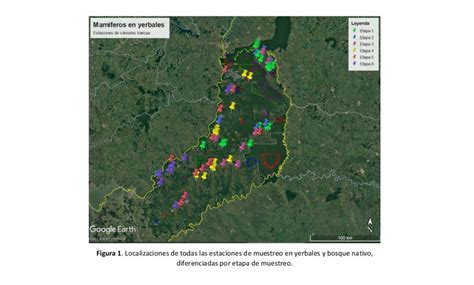 Para Afianzar La Producci N Agroecol Gica El Inym Estudia Si Mam Feros