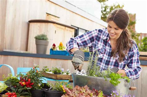 Gartenarbeiten im Mai ein Überblick