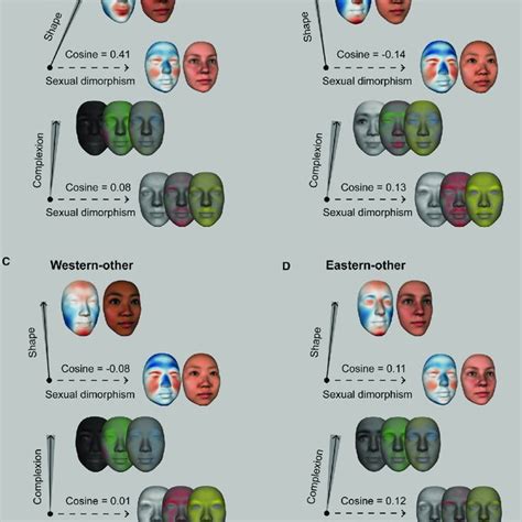 Facial Attractiveness And Sexual Dimorphism Are Represented With Download Scientific Diagram