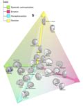 Neuromythe 5 Cerveau Droit Cerveau Gauche Cortex Mag Cerveau