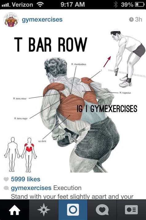 t bar row machine muscles worked - Liberty Conklin