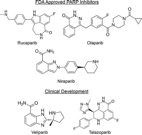 Parp Inhibitors Clinical Utility And Possibilities Of Overcoming