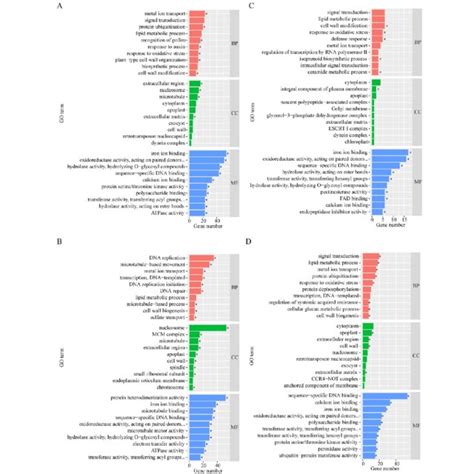 Go Enrichment Analysis Of Degs The Top 10 Enriched Go Terms In Nacl