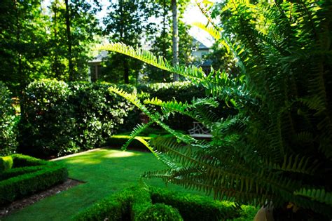 Parterre Courtyard Traditional Landscape Birmingham By Troy