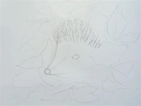 How To Draw And Colour A Hedgehog In Fallen Leaves - Birch And Button