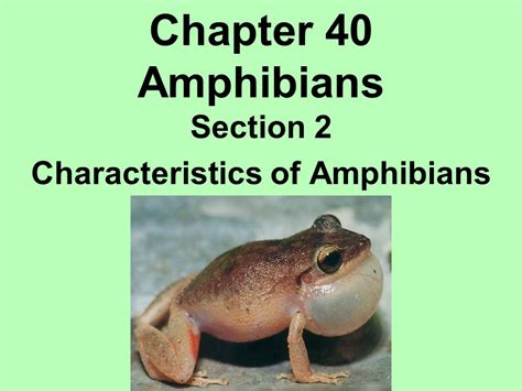 Amphibian Characteristics