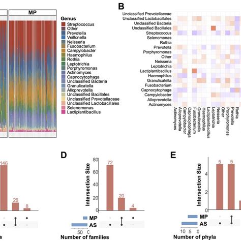 S Rrna Gene Amplicon Sequencing As And Metaproteomics Mp Based