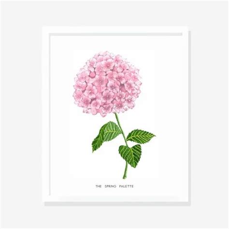 Hydrangea Botanical Art Print Wall Art At Rs 79900 Digital Door