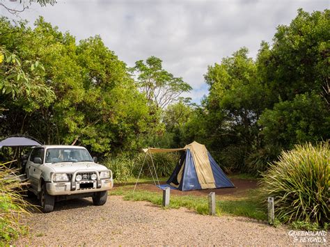 Springbrook National Park camping guide