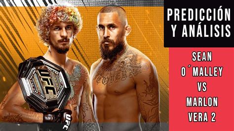 Sean Omalley Vs Marlon Vera Predicciones Y An Lisis De La Ufc