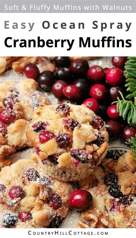 Ocean Spray Cranberry Muffins