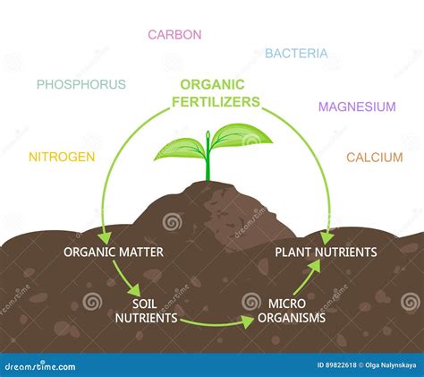 Diagram Of Nutrients In Organic Fertilizers Vector Illustration | CartoonDealer.com #89308806