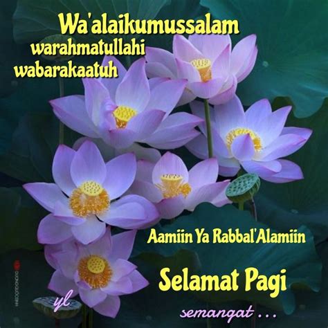 Assalamualaikum Salam Subuh Dan Selamat Pagi Sahabat Assalamualaikum