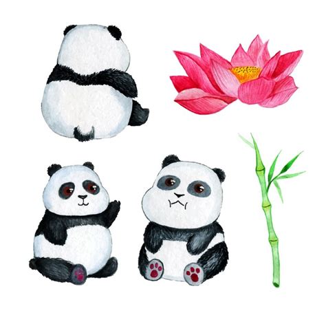 Pandas de clipart aquarela Ursos asiáticos bonitos e bambu Vetor Premium