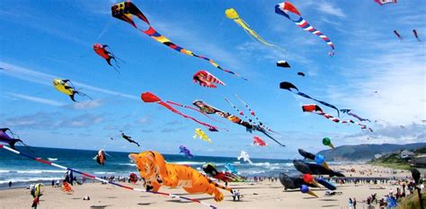 fun   family success matters