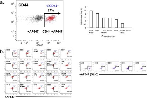 Analysis of human cell surface markers. Human cell surface markers (242 ...