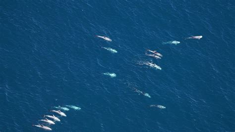 Scientists survey marine preserve off Cape Cod as fishing ban nears