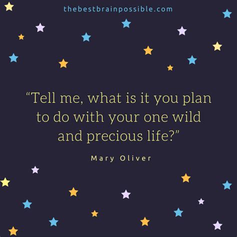 “tell Me What Is It You Plan To Do With Your One Wild And Precious