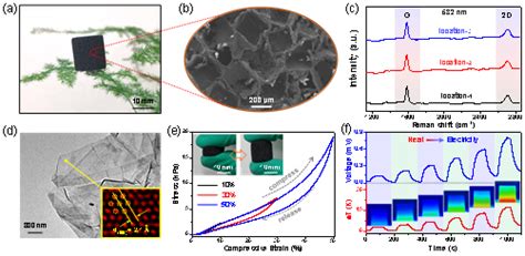 南开大学陈永胜教授和马儒军教授团队nano Letters：用于人体热能收集与热管理的超弹性石墨烯基热电海绵 中国聚合物网科教新闻