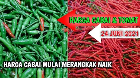 Harga Cabe Hari Ini 24 Juni 2021 Info Harga Cabai Rawit Merah Hari