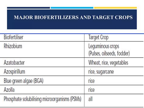 Biofuels And Microbial Application For Biofertilizer Production PPT