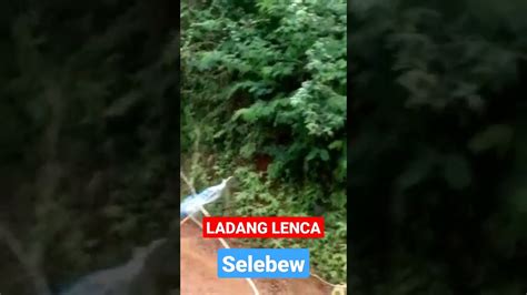 TRAIL ADVENTURE BHAYANGKARA TITAN SELEBEW LADANG LENCA YouTube