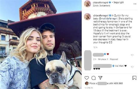 Tumore Matilda Ferragni AGGIORNAMENTI Sulla Salute Del Cane