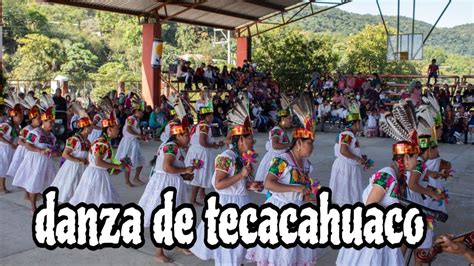 Danza De Tecacahuaco Atlapexco Hgo En La Fiesta De La Lengua Materna