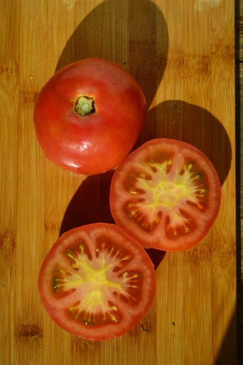 Tomato Rumseys Cross Seedfreaks Sow The Change You Want To Seed