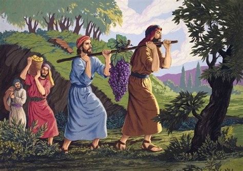 Garden Of Praise The Twelve Spies Bible Story